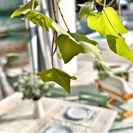 Villa Meco Private Pool Full Of Grace